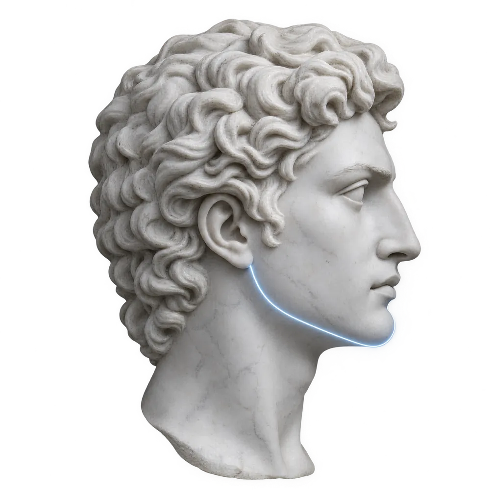 Marble bust with a thin blue line along the jaw